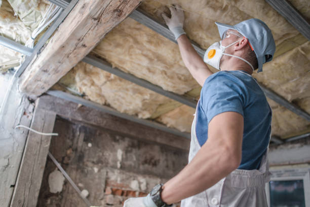 Best Insulation for Specific Applications in Encantada Ranchito El Calaboz, TX