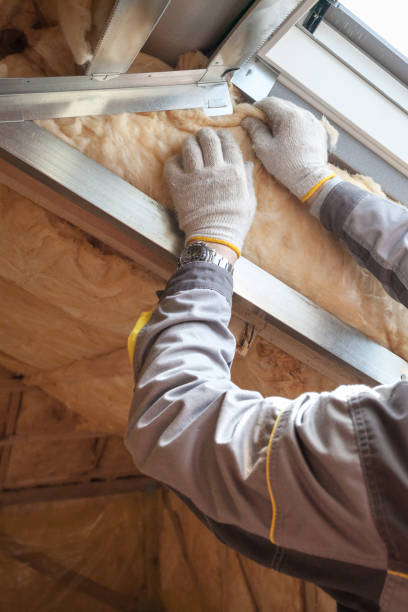 Best Eco-Friendly Insulation in Encantada Ranchito El Calaboz, TX