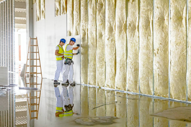 Best Spray Foam Insulation in Encantada Ranchito El Calaboz, TX